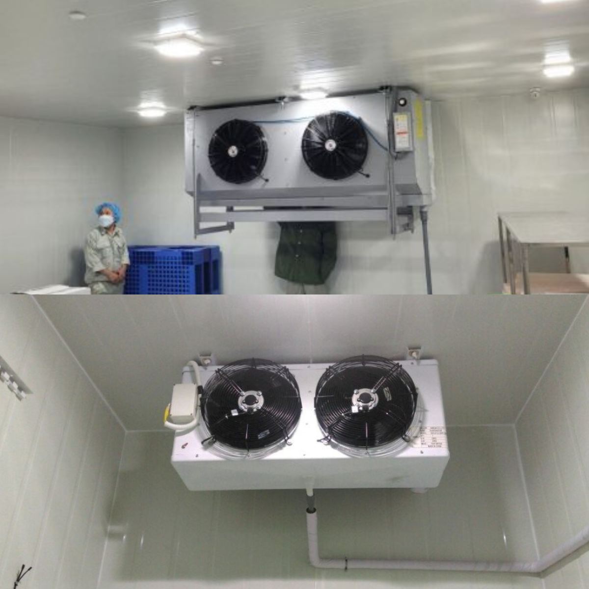 sữa chữa kho lạnh bình dương